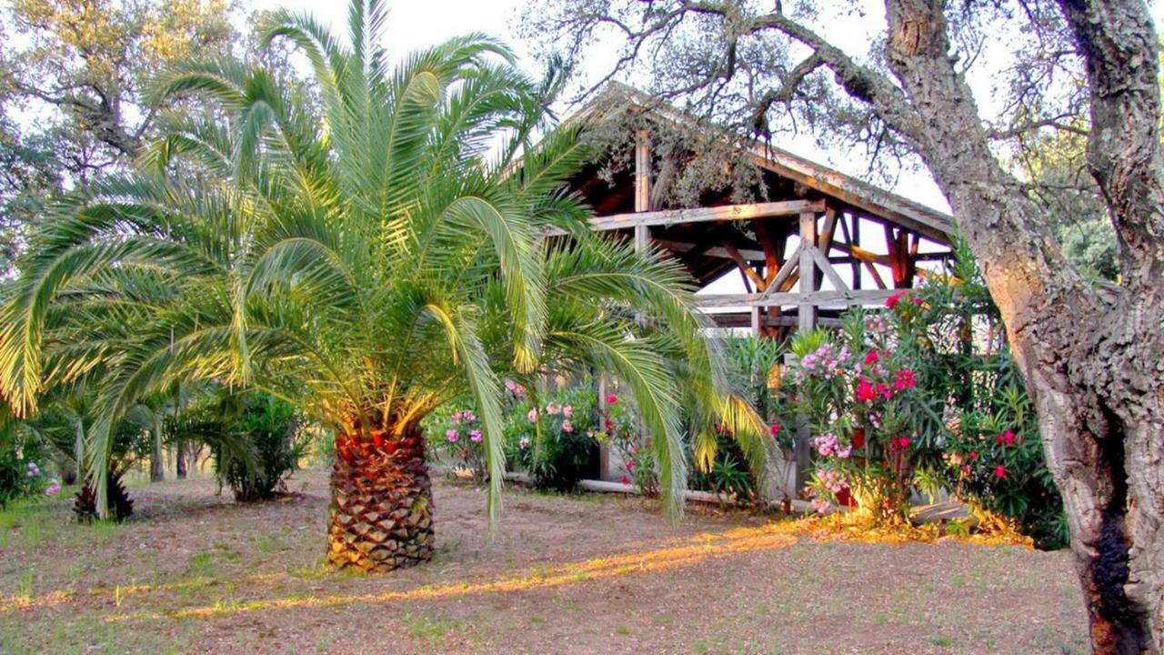 Happy Trimurti Hotel Cogolin Buitenkant foto